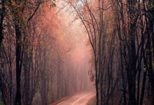 虎扑体育官网:Stein:巴特勒与太阳互相有意 还需找到愿接收比尔的球队北青网.