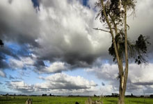 拉希德：76人球迷都受够了恩比德 后者马上就要被赶出费城了.