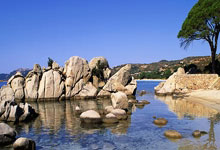 虎扑体育官网:Stein:巴特勒与太阳互相有意 还需找到愿接收比尔的球队北青网.